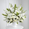 Morning Stars Arrangement Online