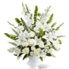 Morning Stars Arrangement Online