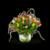 Multi Tulipa Online
