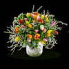 Multi Tulipa Online