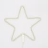 Gift Neon Light - Star - Single Piece