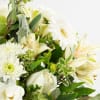 Gift Neutral Posy