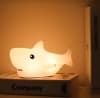 Gift Night Light - Fish - Assorted - Single Piece