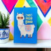 Gift No Prob Llama Notebook - Assorted - Single Piece