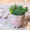 Owl - Concrete Planter And Pen Holder Online