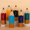 Buy Pencil Shaped Holder - Assorted - Single Piece