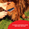 Pet Grooming Brush - Single Piece Online