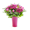 PINK AND PURPLE ROMANCE Online