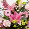 Buy Pinks Bouquet