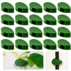 Buy Plant Clips - Leaves - Set Of 10