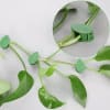 Plant Clips - Leaves - Set Of 10 Online