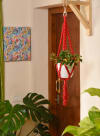 Gift Plant Hanger - Pearl - Single Piece