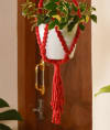 Buy Plant Hanger - Pearl - Single Piece