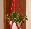 Shop Plant Hanger - Pearl - Single Piece