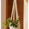 Plant Hanger - Pearl - Single Piece Online