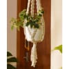 Plant Hanger - Pearl - Single Piece Online