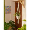 Plant Hanger - Pearl - Single Piece Online