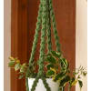 Plant Hanger - Pearl - Single Piece Online