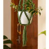 Plant Hanger - Pearl - Single Piece Online