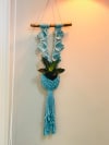 Shop Plant Hanger - The Sea Flower