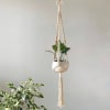 Plant Hanger - The Square Affair Online