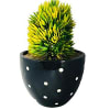 Buy Planter - Dotted Cup - Black - Single Piece