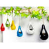 Planter - Hanging Nest - Mini - Assorted - Single Piece Online