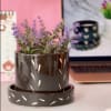 Planter Pot And Plate - Multicolor Online