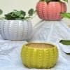 Buy Planter - Round - Glossy Design - Single Piece