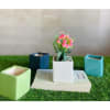 Planter - Square - Multidesign - Single Piece Online