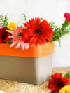 Gift Planter - Two Toned - Rectangular - Single Piece