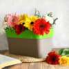 Shop Planter - Two Toned - Rectangular - Single Piece