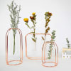 Gift Planter Vase - Test Tube Shape - Set Of 3