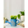 Planter - Watering Can - Single Piece Online