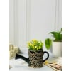 Planter - Watering Can - Single Piece Online