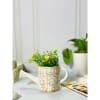 Planter - Watering Can - Single Piece Online