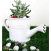 Planter - Watering Can - Single Piece Online