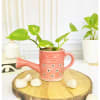 Planter - Watering Can - Single Piece Online