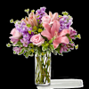 Precious Petals Bouquet Online