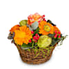 Pure Spring Online