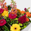 Gift Radiant Blooms Bouquet