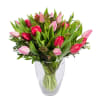 Red and Pink Tulips Online