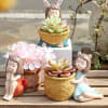 Gift Resin Basket Planter - Assorted - SIngle Piece