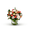 Rosa Online