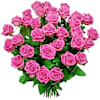 Rose poem flowers Online