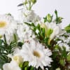 Gift Seasonal Neutral Bouquet in a Vase