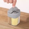 Buy Seasoning Shaker - 4 Compartments - Assorted - Single Piece