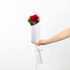Single Red Rose Online