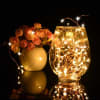 Shop Sliver String Fairy Light - Battery - Warm White
