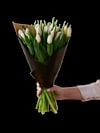 Soft Pink Tulips 240122 Online